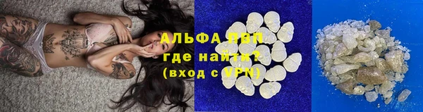 амф Козловка