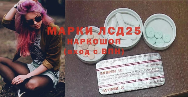 амф Козловка