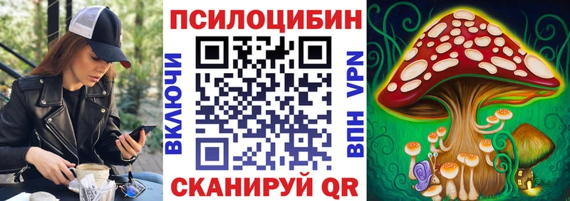hydra ТОР  Строитель  Галлюциногенные грибы Cubensis 