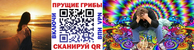 Псилоцибиновые грибы мухоморы Строитель