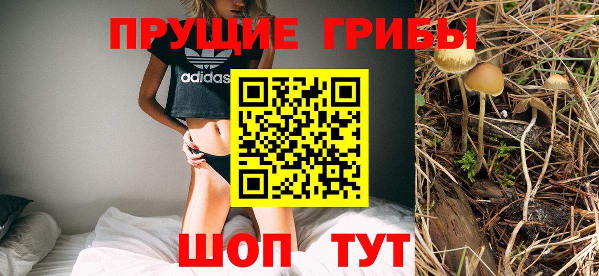 Строитель  Псилоцибиновые грибы Psilocybe  Галлюциногенные грибы прущие грибы  купить закладку  Вход с VPN 